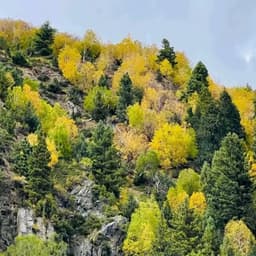 Kumrat Valley 3 Days